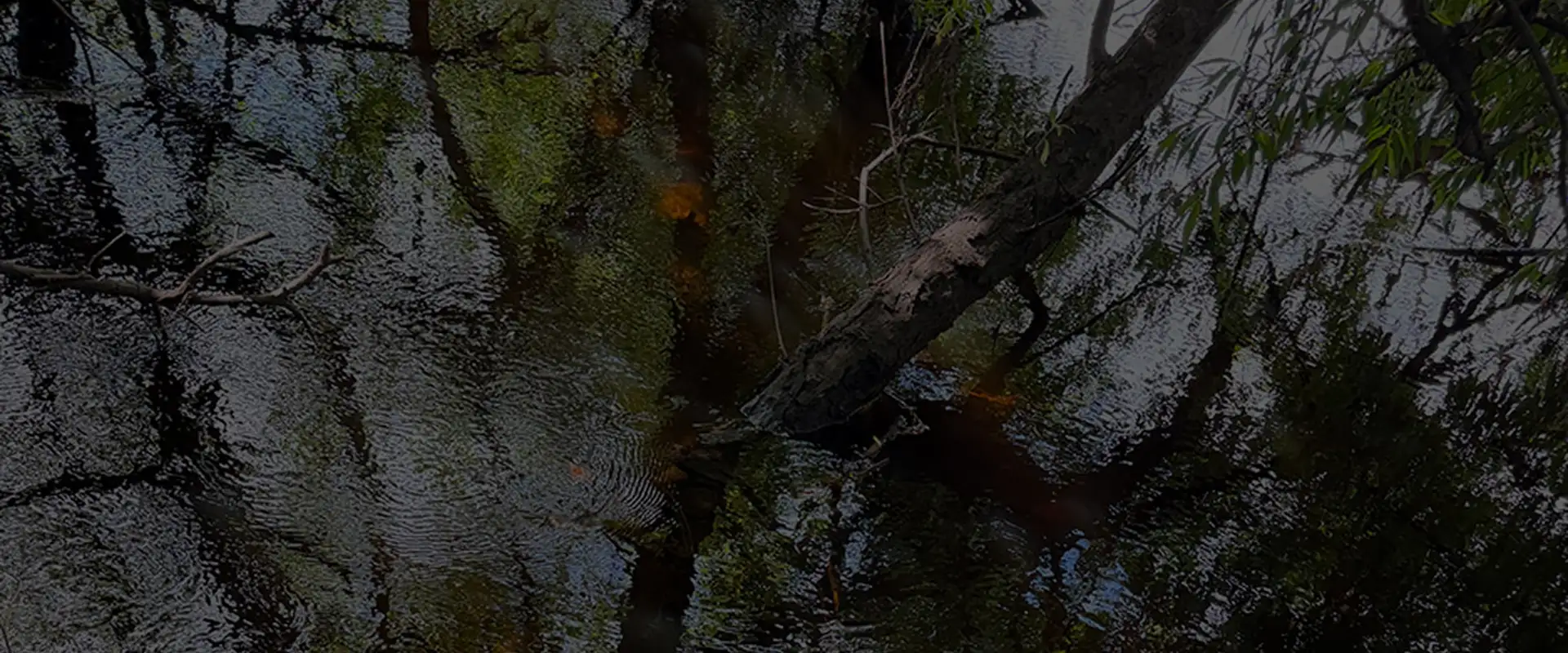 abstract image of a river