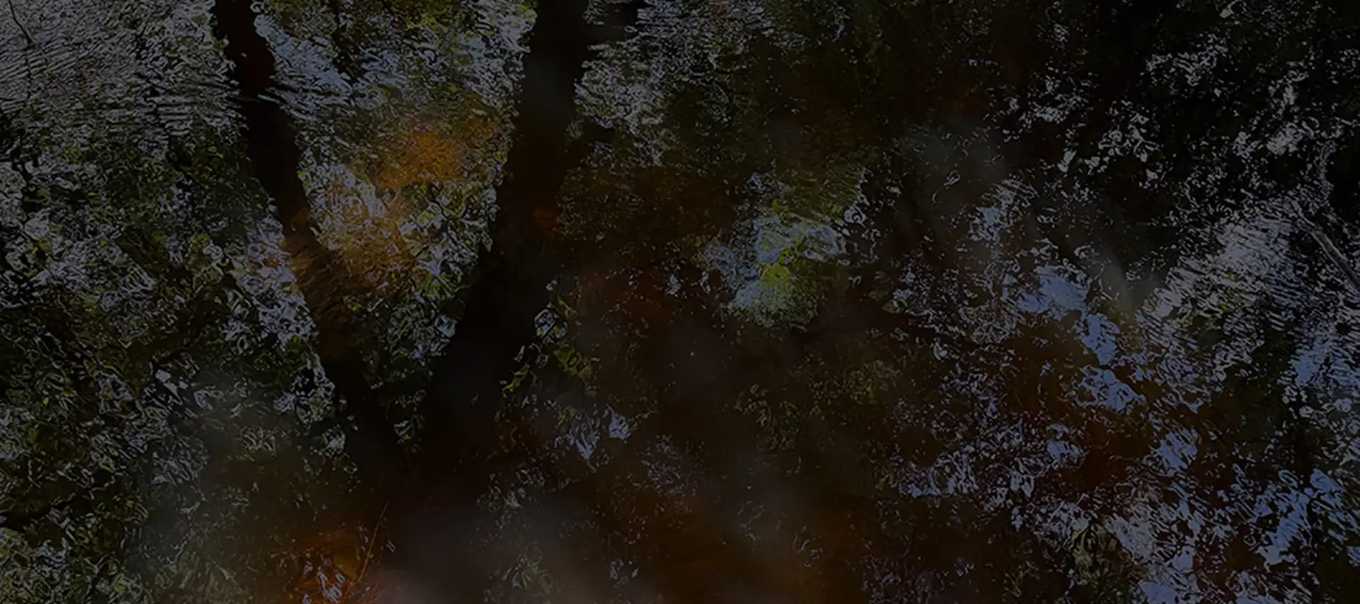 abstract image of the Berba river